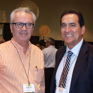 Quirch Show1-S Quirch Show1-S